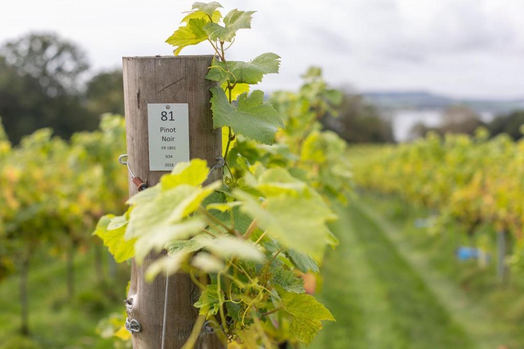 Lympstone Manor Hotel Restaurant & Vineyard - Relais & Chateaux Exmouth Zewnętrze zdjęcie