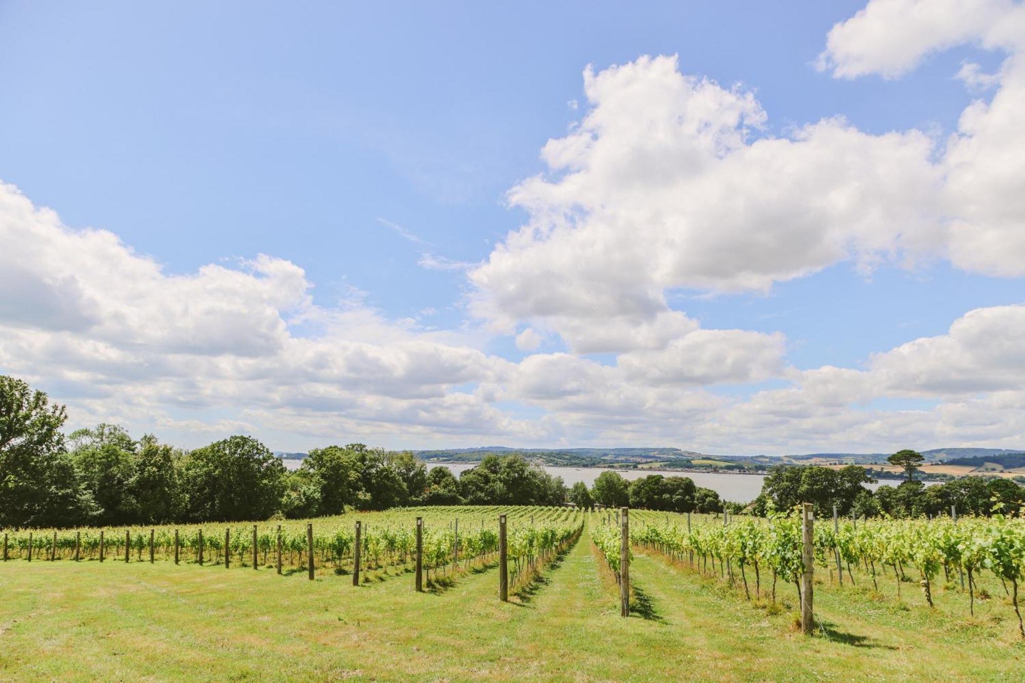 Lympstone Manor Hotel Restaurant & Vineyard - Relais & Chateaux Exmouth Zewnętrze zdjęcie