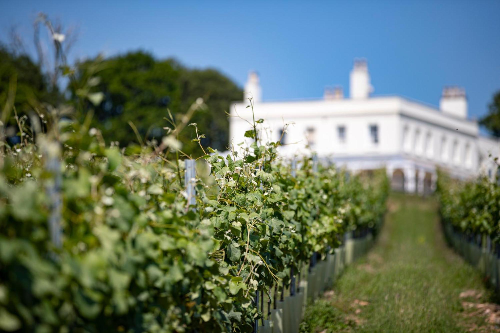 Lympstone Manor Hotel Restaurant & Vineyard - Relais & Chateaux Exmouth Zewnętrze zdjęcie