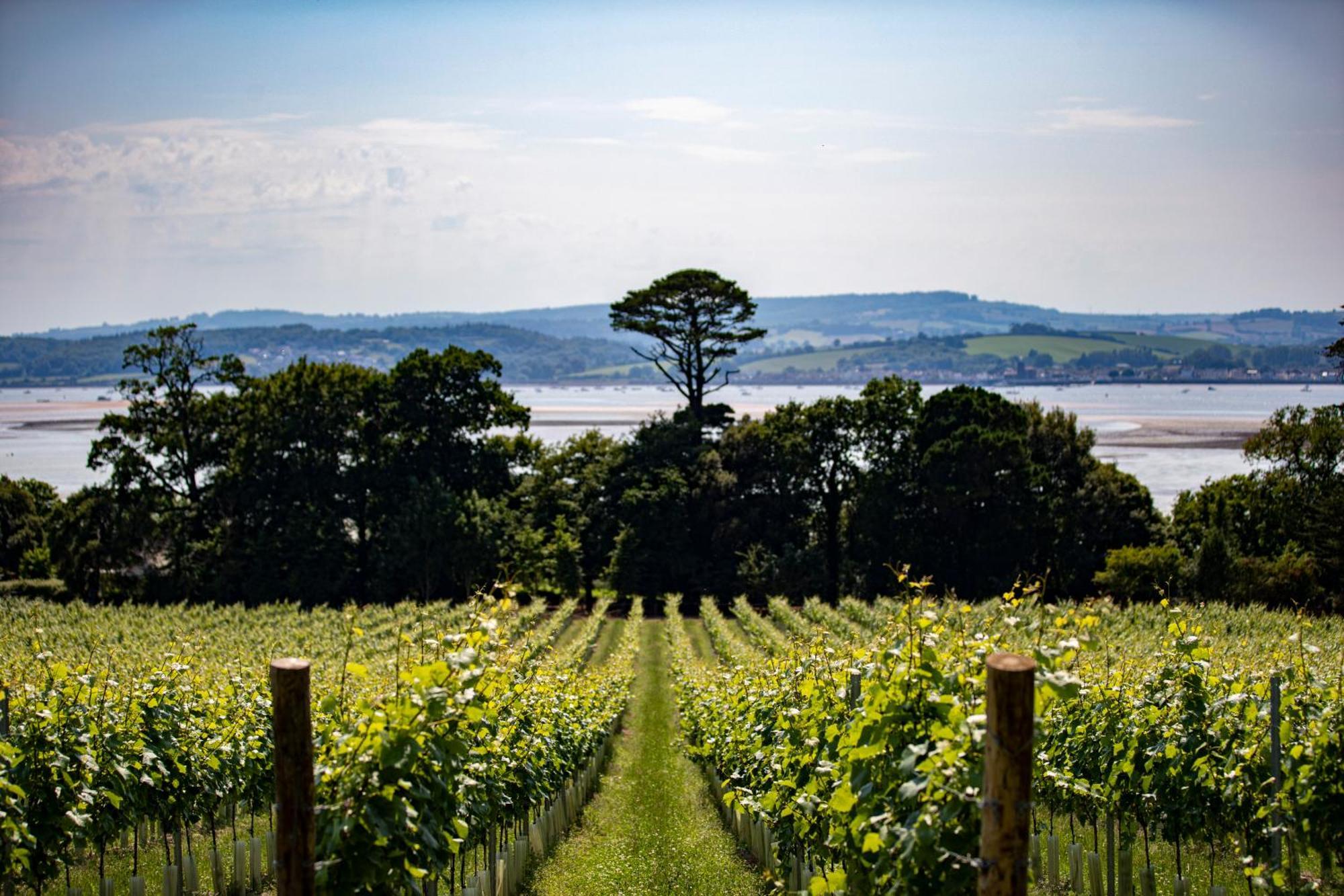 Lympstone Manor Hotel Restaurant & Vineyard - Relais & Chateaux Exmouth Zewnętrze zdjęcie