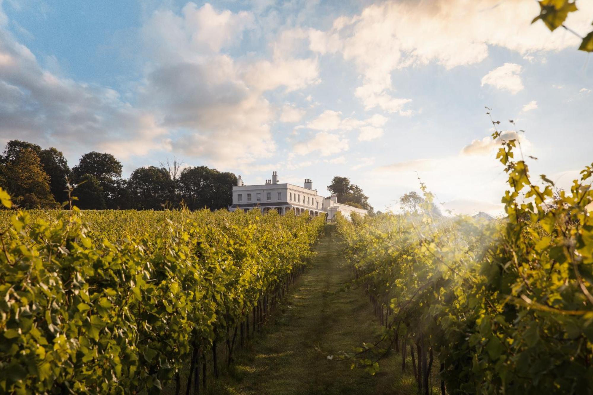 Lympstone Manor Hotel Restaurant & Vineyard - Relais & Chateaux Exmouth Zewnętrze zdjęcie